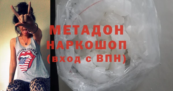 прущие грибы Гусев