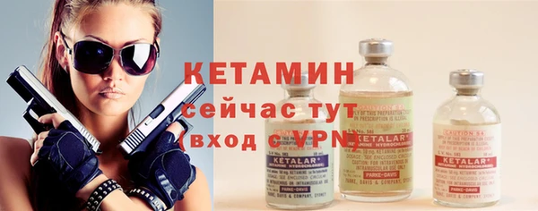 прущие грибы Гусев