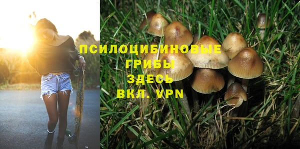 ГАЛЛЮЦИНОГЕННЫЕ ГРИБЫ Дмитров