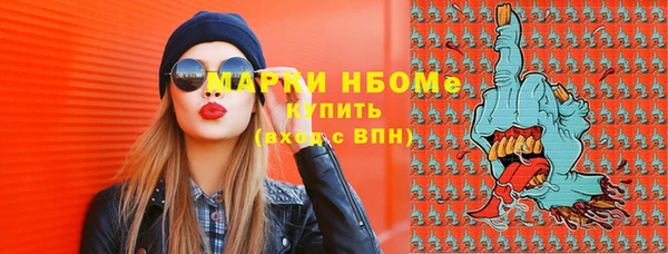 гашик Гусь-Хрустальный