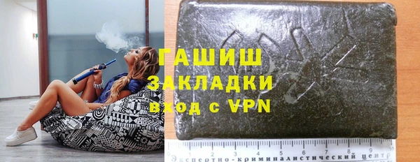 прущие грибы Гусев