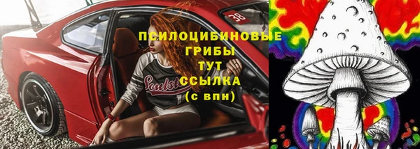 прущие грибы Гусев