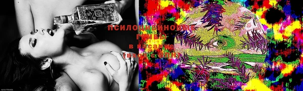 гашик Гусь-Хрустальный
