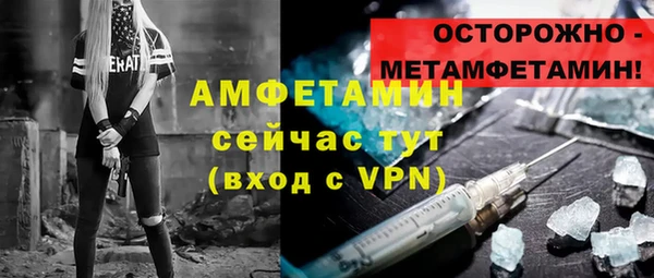 прущие грибы Гусев