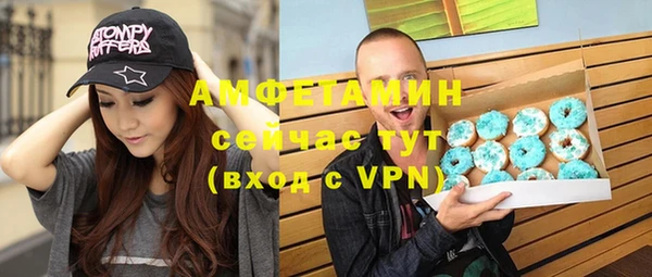 МДПВ Дмитриев